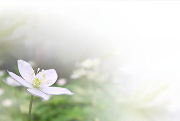 企業(yè)網(wǎng)站建設(shè)設(shè)計制作過程