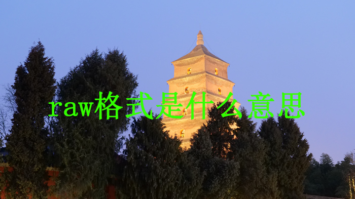 網(wǎng)頁(yè)設(shè)計(jì)raw格式圖片能用嗎?raw是什么格式?